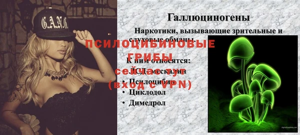 дмт Зеленодольск